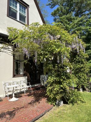 Whistler's Inn by null