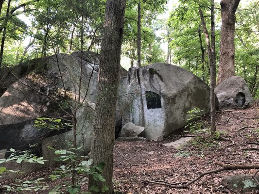 Big Rock Nature Preserve by null