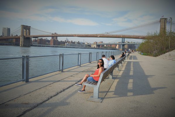 Brooklyn Bridge Park - Pier 1 by null
