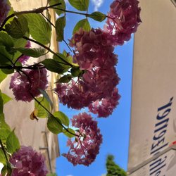Le Berlu - Look up !