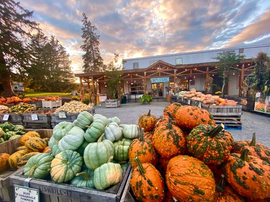 Fishkill Farms by null