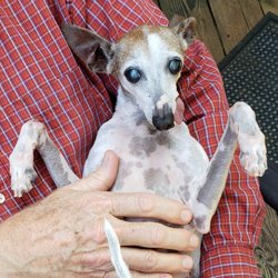 Academy Animal Hospital of Laurinburg