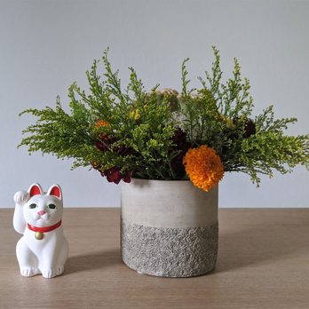 Matilda's Bloombox - Florists Near Me - San Francisco, California Matilda's Bloombox - Florists Near Me - San Francisco, California