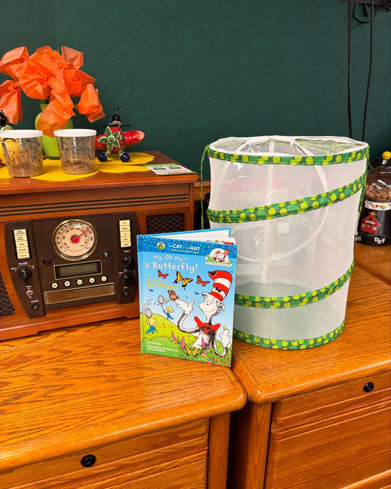 Our School - childcare center in Pasadena, CA