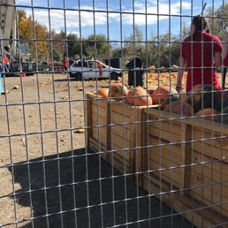 Pumpkin drop today.