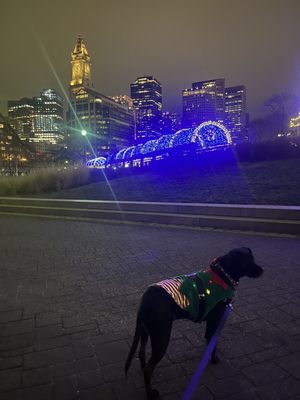 Christopher Columbus Waterfront Park by null