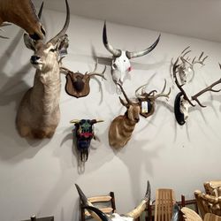 Scott's Amish Log and Rustic Furniture