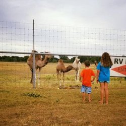 Shark Tooth RV Ranch