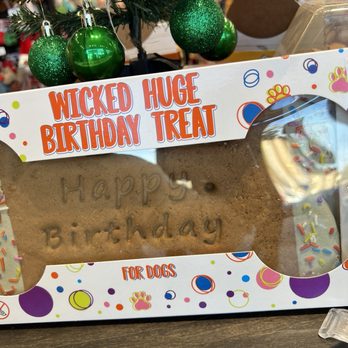 Hollywood Feed - Birthday treats for your dog's celebration! - Pet Stores Near Me - Charlotte, North Carolina