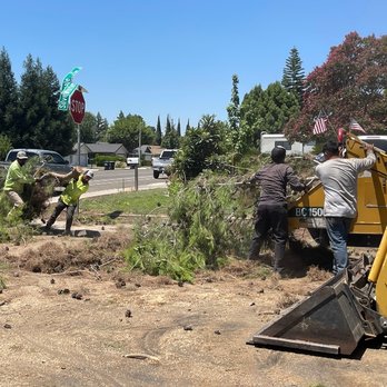 Cut A Tree - Stump Removal - Tree Services Near Me
