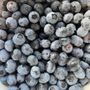 Photo of D & J ’s Blueberry Farm