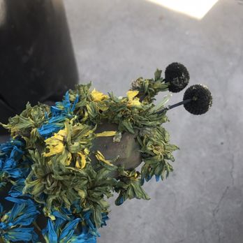 Glendora Florist - Florists Near Me - Glendora, California