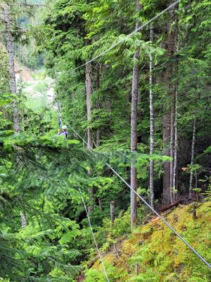 Ziptrek Ecotours by null