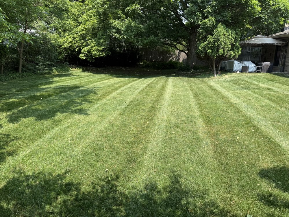 Morgan’s Lawn Care & Snow Removal - tree service in Kentwood, MI
