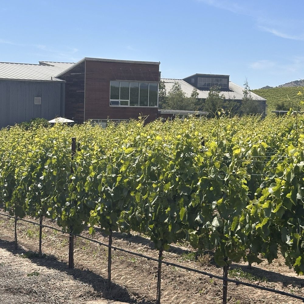 Cuvaison - Wineries Near Me - Napa, California