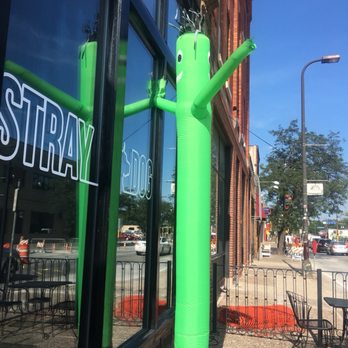 Stray Dog - This guy was cracking us up from inside while we ate. Can't miss the place with him dancing outside! - New American Near Me - Minneapolis, Minnesota