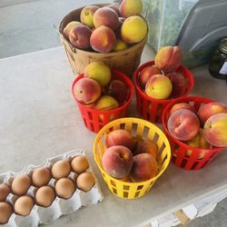 Brunswick Farmers Market - Brunswick Farmers Market