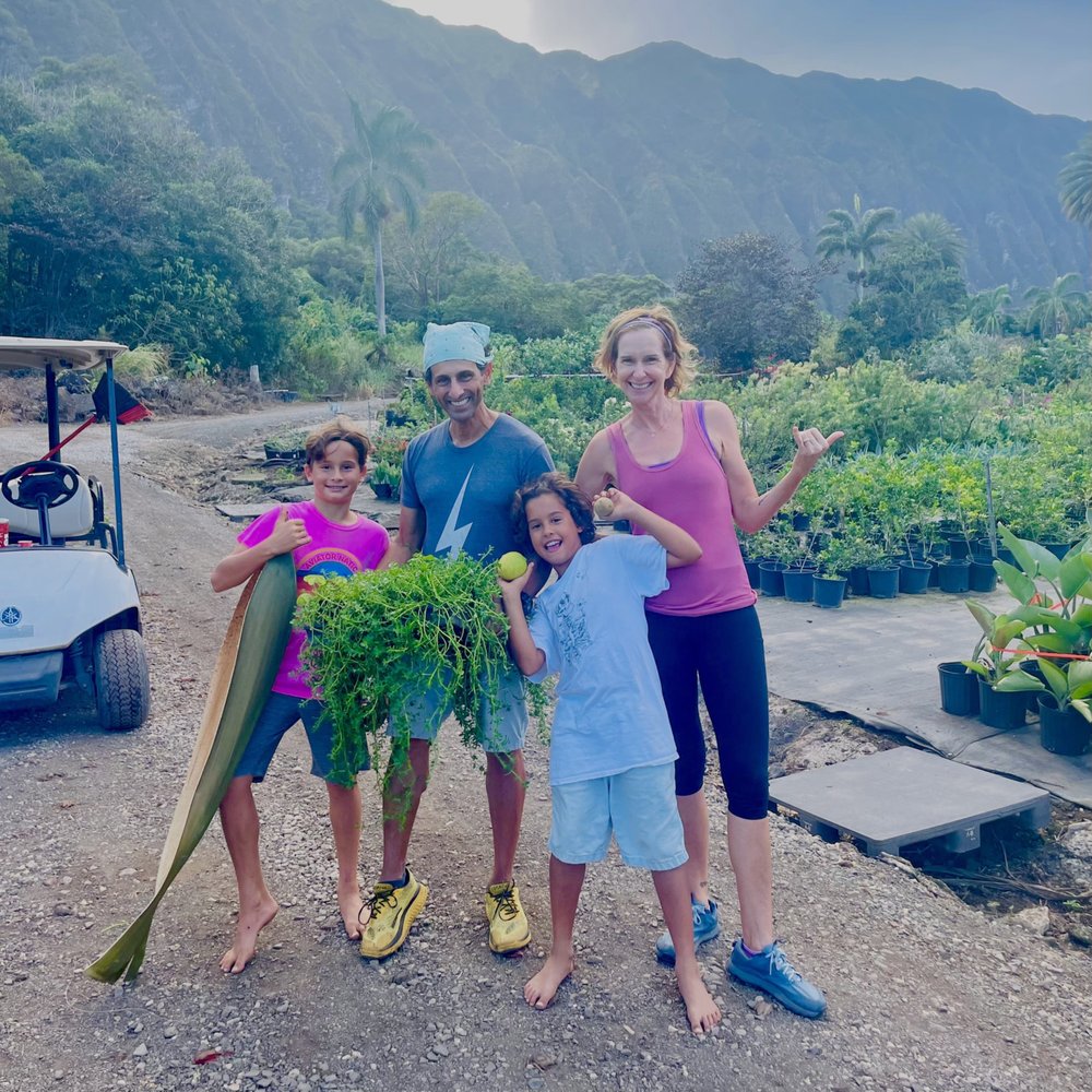 Sharon's Plants Ltd - Family fun with plants ! - Nurseries & Gardening Near Me - Waimanalo, Hawaii