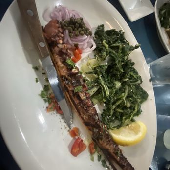 Platía Greek Kitchen - Greek Near Me - Syosset, New York