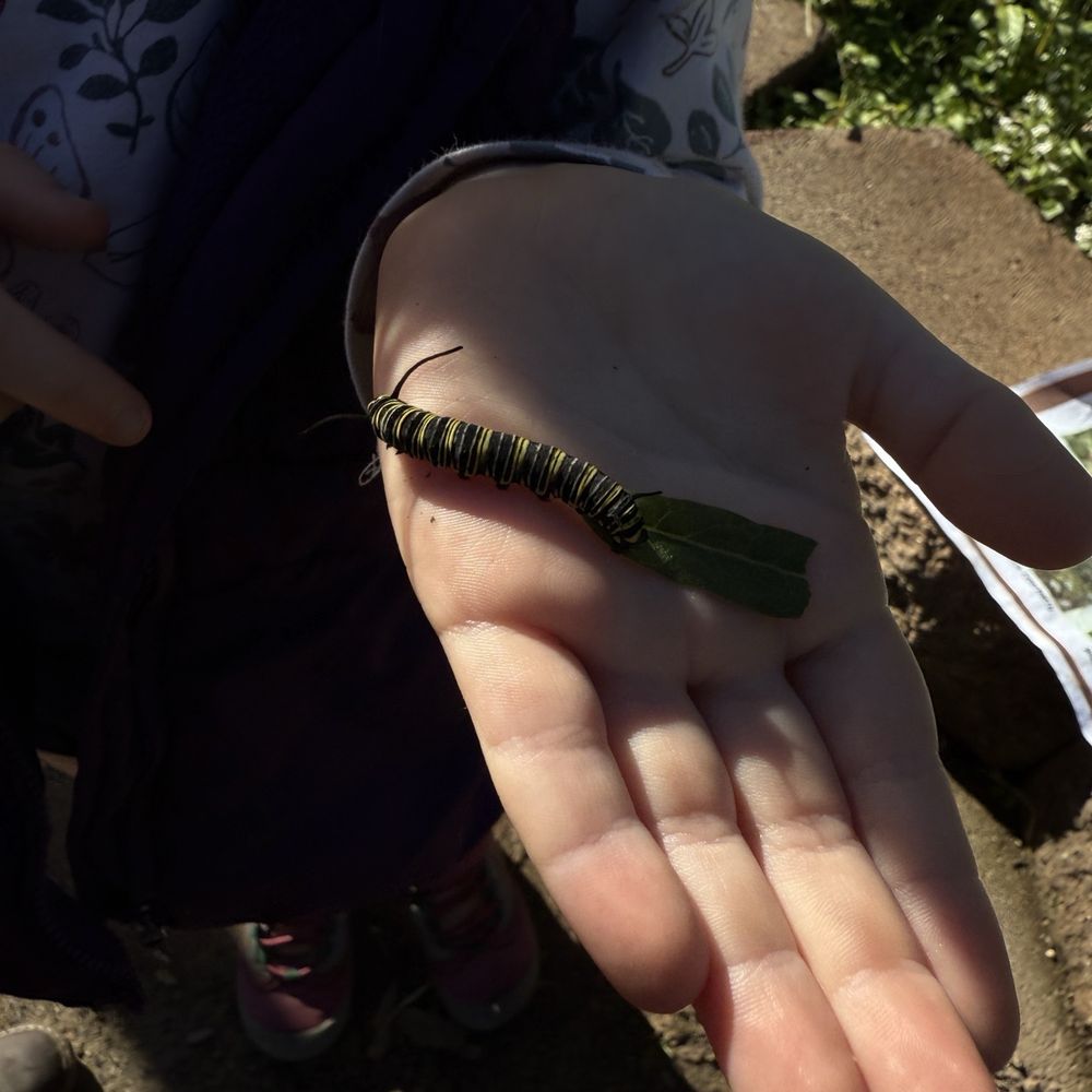 The Native School - Preschools Near Me - Carlsbad, California