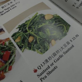 Yummy Szechuan - Menu - Pea Shoots with Garlic Sauce / I loved this! Highly recommended. Best I've had. - Szechuan Near Me - Millbrae, California Yummy Szechuan - Menu - Pea Shoots with Garlic Sauce / I loved this! Highly recommended. Best I've had. - Szechuan Near Me - Millbrae, California