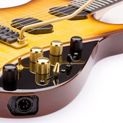 GuitarSighted Instruction