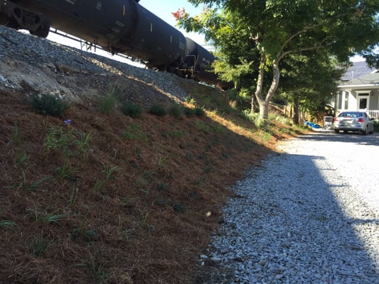 Sean's Landscaping by null