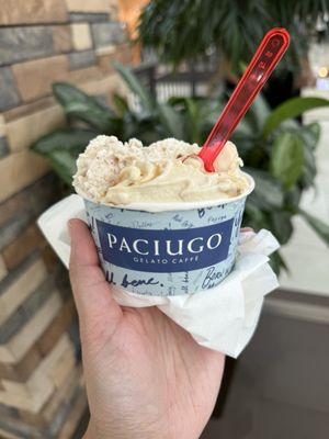Paciugo Gelato Caffe - The Parks at Arlington