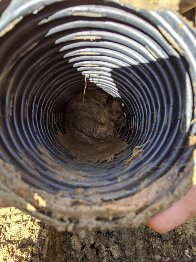 Slide of Minor Enterprise