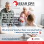Photo of Bear CPR