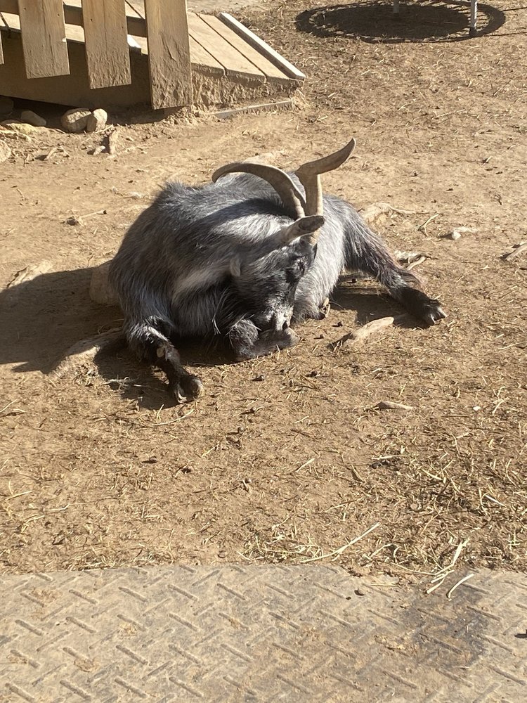 Unity Farm Sanctuary - social services organization in Sherborn, MA