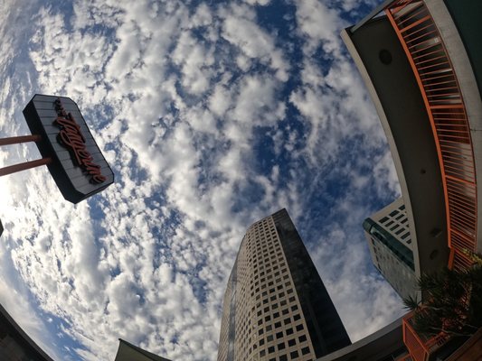 The Tangerine - a Burbank Hotel by null