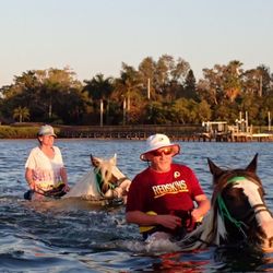 CPonies - Myself & my husband swimming on our horses..Snooki & Dory!