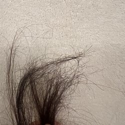 HAIR - Full Service Salon & Extension Bar
