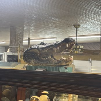 H Mercantile - Alligator head - Antiques Near Me - Clinton, Louisiana H Mercantile - Alligator head - Antiques Near Me - Clinton, Louisiana
