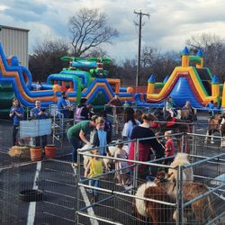 Yazmin's Party Rentals - Obstacle Course Rentals and Petting zoo