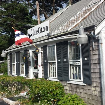 Cape Cat - Cape Cat! - Flowers & Gifts Near Me - South Yarmouth, Massachusetts Cape Cat - Cape Cat! - Flowers & Gifts Near Me - South Yarmouth, Massachusetts