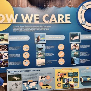 Clearwater Marine Aquarium - Thank you - Aquariums Near Me - Clearwater, Florida