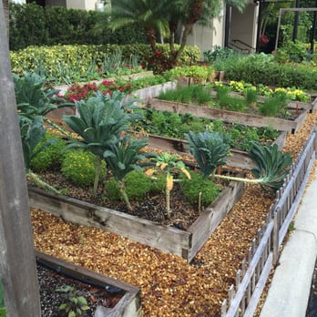 Farmer's Table - Fresh garden growing at entrance of restaurant - Desserts Near Me - Boca Raton, Florida Farmer's Table - Fresh garden growing at entrance of restaurant - Desserts Near Me - Boca Raton, Florida