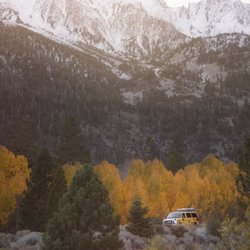 Escape Campervans