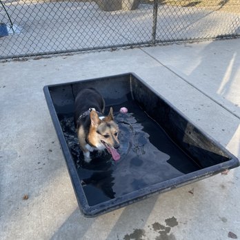 Morse Dog Park - Dog Parks Near Me - Elk Grove, California