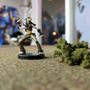 Photo of Game Ogre