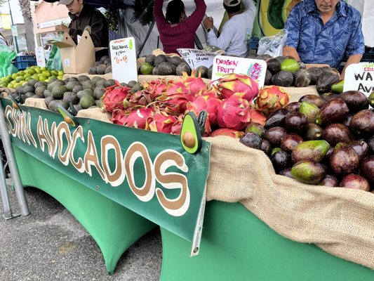 California Avocado Festival by null