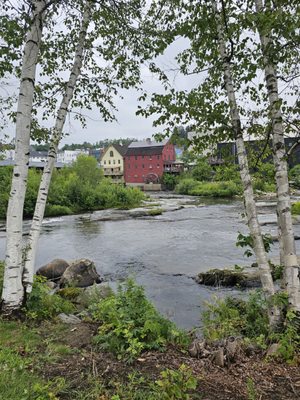 Schilling Beer Co. by null