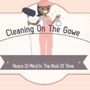 Photo of Cleaning On The Gowe