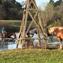 EK Horses