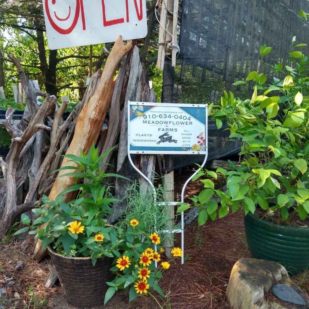 MEADOWFLOWER FARMS Updated June 2024 15 Photos 10352 NC 211 E, Aberdeen, North Carolina