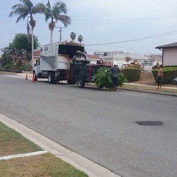 David's Tree Service - Chipper takes care of leaves and branches - Tree Services Near Me - Huntington Beach, California David's Tree Service - Chipper takes care of leaves and branches - Tree Services Near Me - Huntington Beach, California