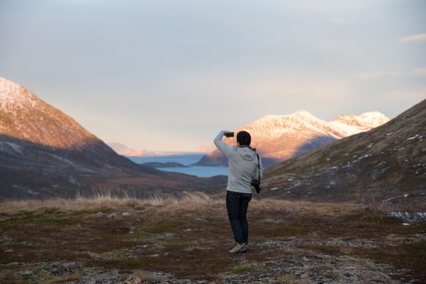 Chasing Lights by null