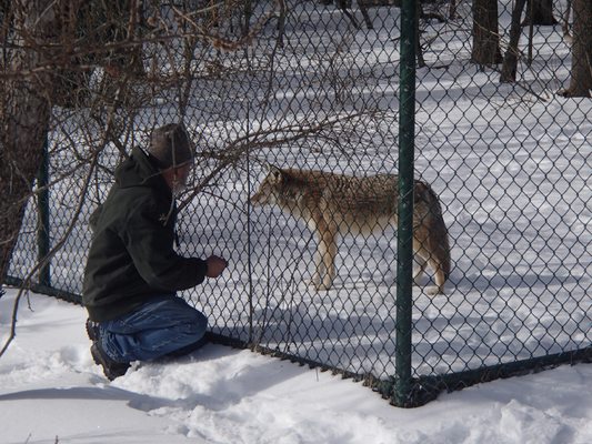 Wolf Mountain Nature Center by null